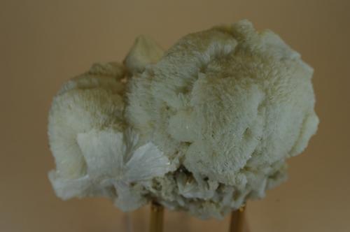 Prehnita<br />Lebrija, Comarca Bajo Guadalquivir, Seville, Andalusia, Spain<br />80 x 40 x 50 mm<br /> (Autor: Juan María Pérez)