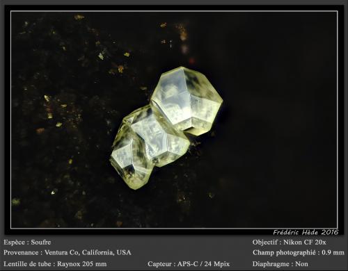 Sulphur<br />Ventura County, California, USA<br />fov 0.9 mm<br /> (Author: ploum)