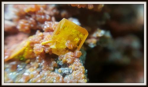 Wulfenite<br />Provincia Isfahan, Irán<br />4.5 mm<br /> (Author: h.abbasi)