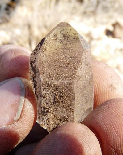 Quartz<br />Ceres, Warmbokkeveld Valley, Ceres, Valle Warmbokkeveld, Witzenberg, Cape Winelands, Provincia Occidental del Cabo, Sudáfrica<br />Fingers for size<br /> (Author: Pierre Joubert)