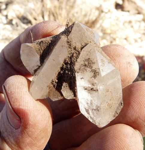 Quartz<br />Ceres, Warmbokkeveld Valley, Ceres, Valle Warmbokkeveld, Witzenberg, Cape Winelands, Provincia Occidental del Cabo, Sudáfrica<br />Fingers for size<br /> (Author: Pierre Joubert)