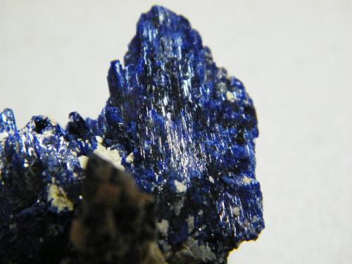 Azurite<br />Tsumeb Mine, Tsumeb, Otjikoto Region, Namibia<br />35x35x30mm<br /> (Author: Heimo Hellwig)