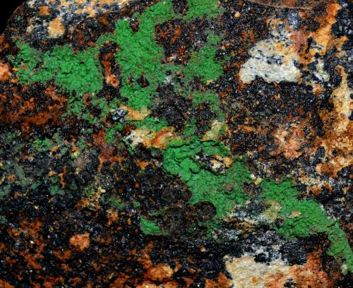 Conicalcita<br />Calicata Dolores, Pastrana, Mazarrón / Águilas, Comarca Alto Guadalentín, Región de Murcia (Murcia), España<br />5cm x 4,5cm<br /> (Autor: DPC)