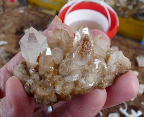 Quartz<br />Ceres, Warmbokkeveld Valley, Ceres, Valle Warmbokkeveld, Witzenberg, Cape Winelands, Provincia Occidental del Cabo, Sudáfrica<br />Fingers for size<br /> (Author: Pierre Joubert)