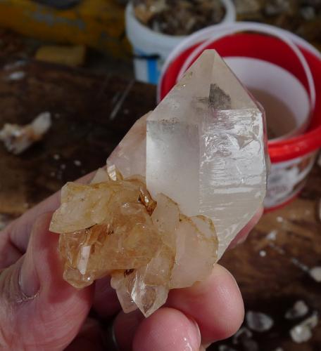 Quartz<br />Ceres, Warmbokkeveld Valley, Ceres, Valle Warmbokkeveld, Witzenberg, Cape Winelands, Provincia Occidental del Cabo, Sudáfrica<br />Fingers for size<br /> (Author: Pierre Joubert)