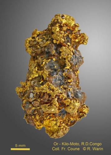 Gold<br />Kilomoto Mines, Bafwasende, Tshopo District, Orientale Province, Democratic Republic of the Congo (Zaire)<br /><br /> (Author: Roger Warin)