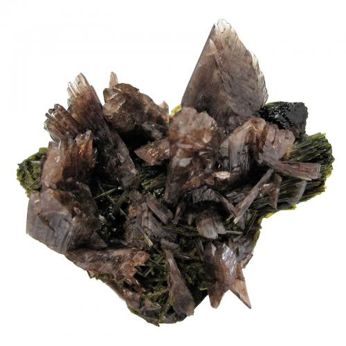 Axinite-(Mn), Epidote<br />Canta, Distrito Canta, Provincia Canta, Departamento Lima, Perú<br />74mm x 66mm x 59mm. Major axinite crystal: 20 mm wide<br /> (Author: Carles Millan)