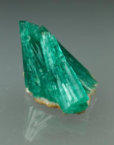 Beryl (variety emerald), Albite (variety cleavelandite)<br />Chivor mining district, Municipio Chivor, Eastern Emerald Belt, Boyacá Department, Colombia<br />20mm across<br /> (Author: Fiebre Verde)