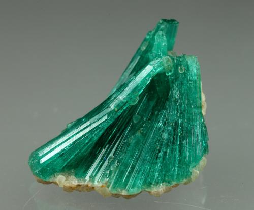 Beryl (variety emerald), Albite (variety cleavelandite)<br />Chivor mining district, Municipio Chivor, Eastern Emerald Belt, Boyacá Department, Colombia<br />20mm across<br /> (Author: Fiebre Verde)