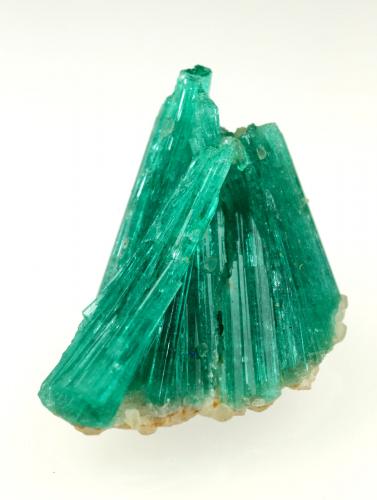 Beryl (variety emerald), Albite (variety cleavelandite)<br />Chivor mining district, Municipio Chivor, Eastern Emerald Belt, Boyacá Department, Colombia<br />20mm across<br /> (Author: Fiebre Verde)