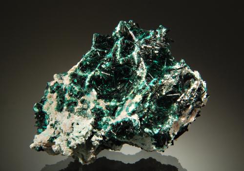 Brochantite<br />Milpillas Mine, Cuitaca, Municipio Santa Cruz, Sonora, Mexico<br />5.8 x 7.9 cm<br /> (Author: crosstimber)