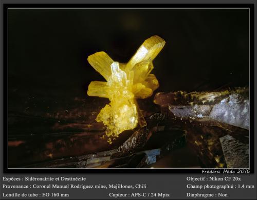 Sideronatrite on Destinezite<br />Coronel Manuel Rodríguez Mine, Mejillones Peninsula, Mejillones, Antofagasta Province, Antofagasta Region, Chile<br />fov 1.4 mm<br /> (Author: ploum)
