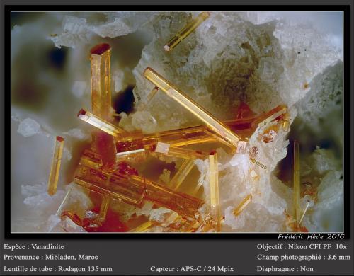 Vanadinite<br />Mibladen (distrito minero Mibladen), Midelt, Provincia Midelt, Región Drâa-Tafilalet, Marruecos<br />fov 3.6 mm<br /> (Author: ploum)