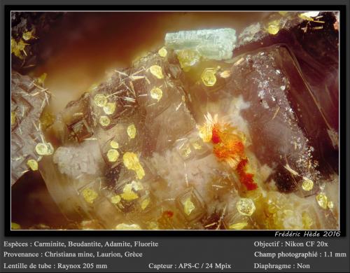 Carminite, Beudantite, Adamite, Fluorite<br />Mina Christiana, Minas Kamariza, Agios Konstantinos, Distrito minero Lavrion, Prefectura Attikí (Attica), Grecia<br />fov 1.1 mm<br /> (Author: ploum)