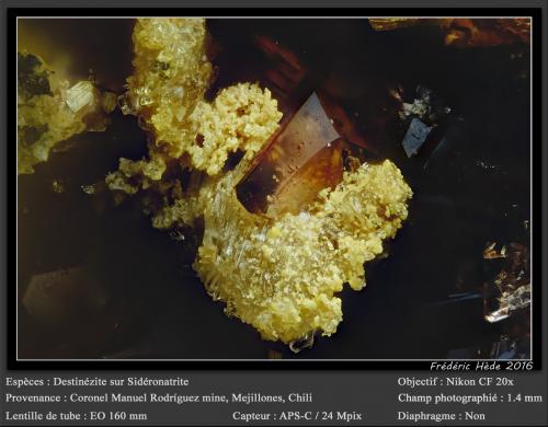 Destinezite on Sideronatrite<br />Coronel Manuel Rodríguez Mine, Mejillones Peninsula, Mejillones, Antofagasta Province, Antofagasta Region, Chile<br />fov 1.4 mm<br /> (Author: ploum)