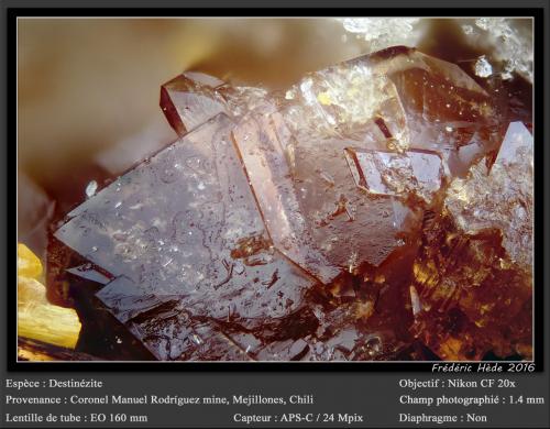 Destinezite<br />Mina Coronel Manuel Rodríguez, Península Mejillones, Mejillones, Provincia Antofagasta, Región Antofagasta, Chile<br />fov 1.4 mm<br /> (Author: ploum)
