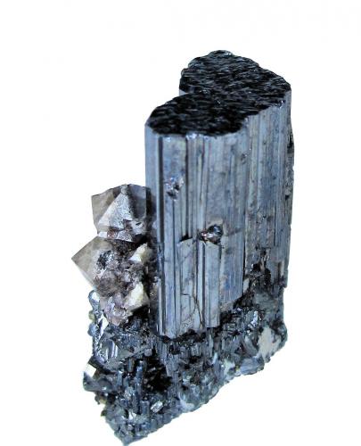 Bournonite, Scheelite<br />Yaogangxian Mine, Yizhang, Chenzhou Prefecture, Hunan Province, China<br />37mm x 21mm. Bournonite crystal: 33.0mm tall, 18.5mm wide. Major scheelite crystal: 7mm tall<br /> (Author: Carles Millan)