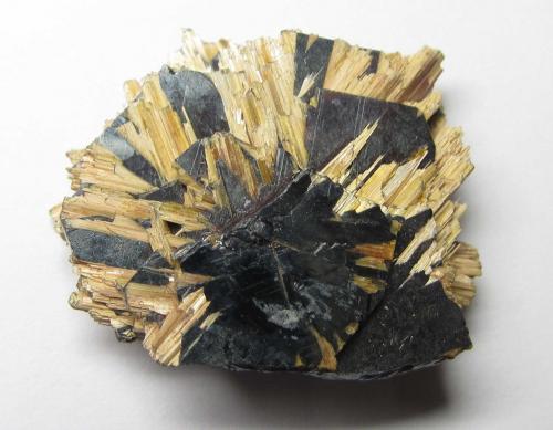 Rutilo epitaxial sobre Hematites<br />Novo Horizonte, Bahia, Región Nordeste, Brasil<br />2''5 x 2''5 cm.<br /> (Autor: prcantos)