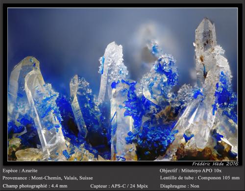 Azurite on Quartz<br />Mont Chemin, Martigny, Wallis (Valais), Switzerland<br />fov 4.4 mm<br /> (Author: ploum)