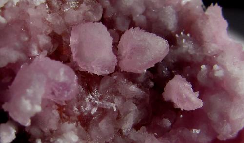 Calcita (variedad cobaltífera)<br />Solita Mine, Peramea, Baix Pallars, Comarca Pallars Sobirà, Lérida / Lleida, Catalonia / Catalunya, Spain<br />Area de enfoque de 2 x 1 cm. aprox.<br /> (Autor: phrancko)