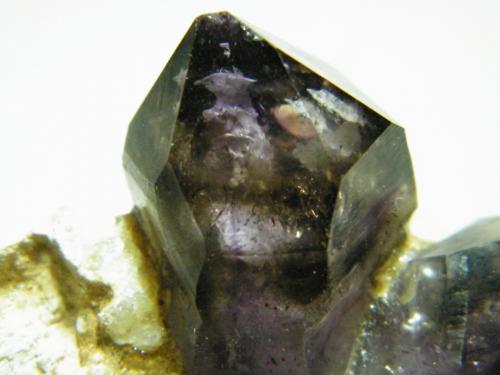 Quartz (variety Amethyst)<br />Goboboseb Mountains, Brandberg area, Erongo Region, Namibia<br />75x65x50mm<br /> (Author: Heimo Hellwig)