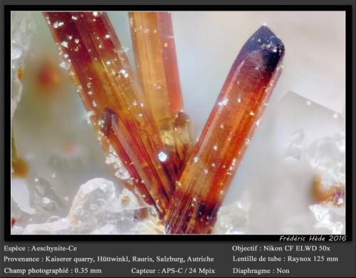 Aeschynite-(Ce)<br />Kaiserer Quarry (Deisl Quarry), Hüttwinkl Valley, Rauris Valley, Zell am See District, Hohe Tauern, Salzburg, Austria<br />fov 0.35 mm<br /> (Author: ploum)