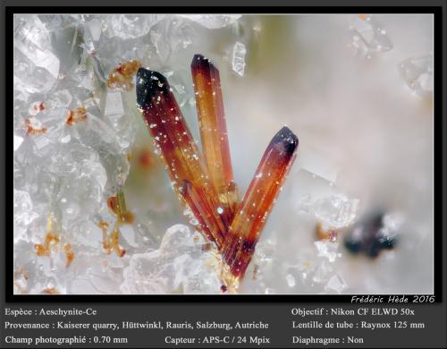 Aeschynite-(Ce)<br />Kaiserer Quarry (Deisl Quarry), Hüttwinkl Valley, Rauris Valley, Zell am See District, Hohe Tauern, Salzburg, Austria<br />fov  0.70 mm<br /> (Author: ploum)