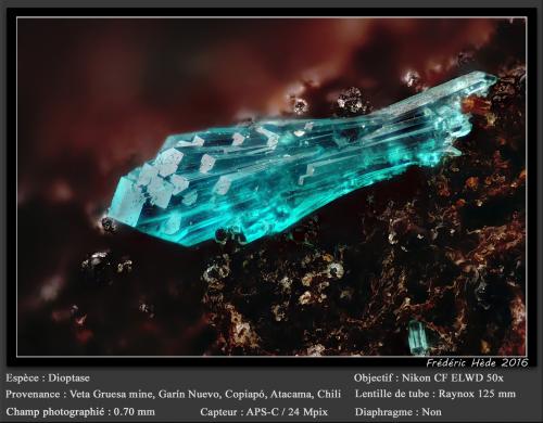 Dioptase<br />Veta Gruesa Mine, Garín Nuevo District, Copiapó Province, Atacama Region, Chile<br />fov 0.70 mm<br /> (Author: ploum)