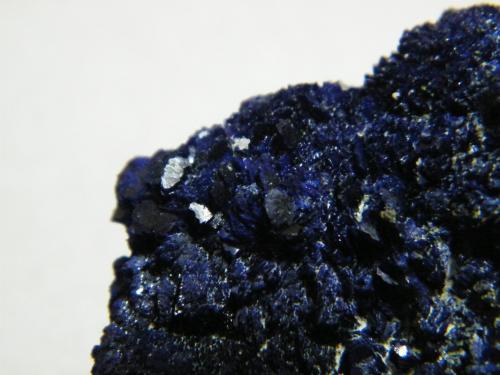 Azurite<br />Tsumeb Mine, Tsumeb, Otjikoto Region, Namibia<br />70x40x30mm<br /> (Author: Heimo Hellwig)