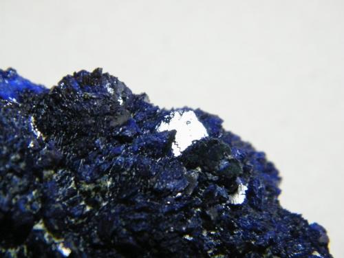 Azurite<br />Tsumeb Mine, Tsumeb, Otjikoto Region, Namibia<br />70x40x30mm<br /> (Author: Heimo Hellwig)