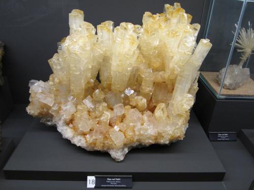 Gypsum on Halite<br />Bleicherode, Nordhausen District, Thuringia/Thüringen, Germany<br />Specimen size 45 cm<br /> (Author: Tobi)