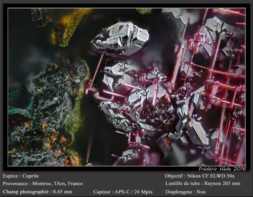 Cuprite and Cuprite (variety chalcotrichite)<br />Mont-Roc Mine, Mont-Roc, Castres, Tarn, Occitanie, France<br />fov 0.45 mm<br /> (Author: ploum)