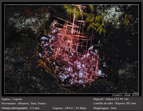 Cuprite (variety chalcotrichite)<br />Mont-Roc Mine, Mont-Roc, Castres, Tarn, Occitanie, France<br />fov 2.3 mm<br /> (Author: ploum)