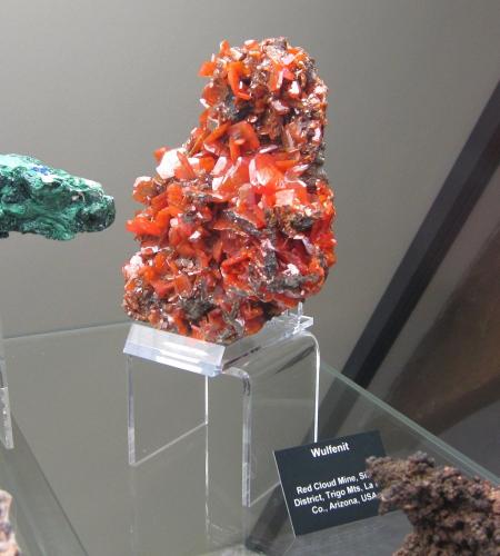 Wulfenite<br />Red Cloud Mine, Trigo Mountains, Silver District, La Paz County, Arizona, USA<br />~ 13 cm<br /> (Author: Tobi)