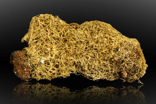 Gold<br />Colina Farncomb, barranco French, Breckenridge, Distrito Breckenridge, Condado Summit, Colorado, USA<br />12,0	x	6,0	x	2,0	cm<br /> (Author: MIM Museum)