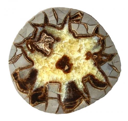 Calcite (septarian nodule)<br />Muddy Creek, Orderville, Kane County, Utah, USA<br />16 cm<br /> (Author: Tobi)