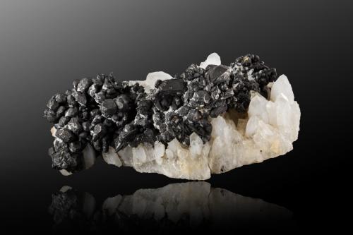 Hessite on Quartz<br />Botes (Botești), Zlatna, Alba, Transylvania, Romania<br />9,0	x	6,0	x	4,0	cm<br /> (Author: MIM Museum)