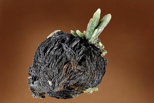 Magnetite<br />Avissalos Bay, Serifos Island, Cyclade Islands, Kykládes Prefecture, Aegean Islands Department (Aiyaíon), Greece<br />45 mm<br /> (Author: Gerhard Brandstetter)