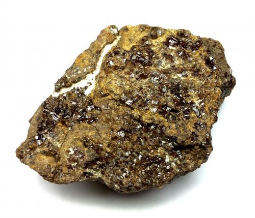 Granate<br />Palamós, Comarca Baix Empordà, Gerona / Girona, Catalonia / Catalunya, Spain<br />6x8 cm<br /> (Autor: Emilio Téllez)