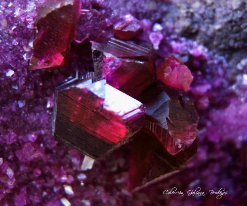 Clinocloro (variedad clinocloro crómico / kämmererita)<br />Mina Kop Krom, Kop Daglari, Provincia Erzurum, Región Anatolia Oriental, Turquía<br />Encuadre de la fotografia 15 mm.<br /> (Autor: Rafael Galiana)