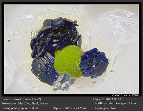 Azurite and Malachite<br />Mas Dieu, Mercoirol, Alès, Gard, Occitanie, France<br />fov 1.8 mm<br /> (Author: ploum)