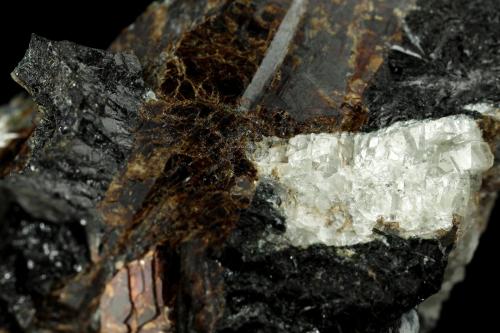 Rastsvetaevite, Fenaksite, Delhayelite, Lamprophyllite. Aegirine<br />Macizo Khibiny, Península Kola, Murmanskaja Oblast, Región del Norte, Rusia<br />72x47x47mm<br /> (Author: Fiebre Verde)