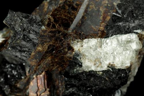 Rastsvetaevite, Fenaksite, Delhayelite, Lamprophyllite. Aegirine<br />Khibiny Massif, Kola Peninsula, Murmanskaja Oblast, Northern Region, Russia<br />72x47x47mm<br /> (Author: Fiebre Verde)