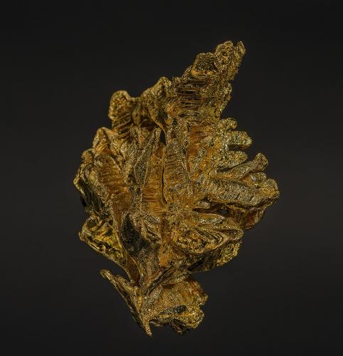 Gold<br />Serra do Caldeirão claims, Pontes e Lacerda, Alto Guaporé District, Mato Grosso, Brazil<br />3.1 x 2.2 cm<br /> (Author: am mizunaka)