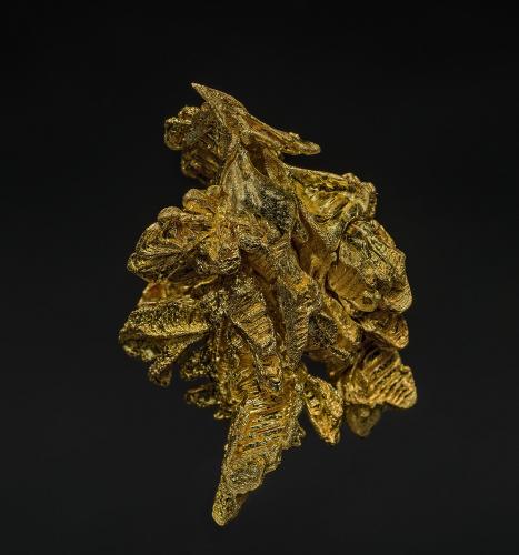 Gold<br />Serra do Caldeirão claims, Pontes e Lacerda, Alto Guaporé District, Mato Grosso, Brazil<br />3.1 x 2.2 cm<br /> (Author: am mizunaka)