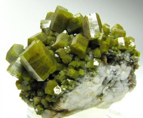 Pyromorphite<br />Mercur Mine Group (Mercur Mine), Bad Ems, Bad Ems District, Lahn Valley, Rhineland-Palatinate/Rheinland-Pfalz, Germany<br />5 cm<br /> (Author: Tobi)