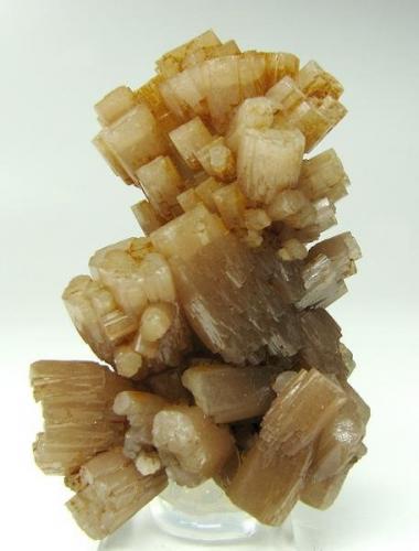 Pyromorphite<br />Mina Friedrichssegen, Frücht, Distrito Bad Ems, Valle Lahn, Renania-Palatinado/Rheinland-Pfalz, Alemania<br />5 cm<br /> (Author: Tobi)