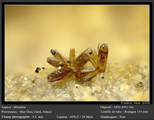 Mimetite<br />Mas Dieu, Mercoirol, Alès, Gard, Occitanie, France<br />fov 3.5 mm<br /> (Author: ploum)