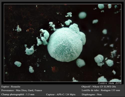 Rosasite<br />Mas Dieu, Mercoirol, Alès, Gard, Occitanie, France<br />fov 1.5 mm<br /> (Author: ploum)