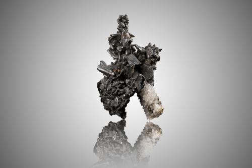 Hessite on Quartz<br />Botes (Botești), Zlatna, Alba, Transylvania, Romania<br />3,0	x	3,0	x	4,5	cm<br /> (Author: MIM Museum)